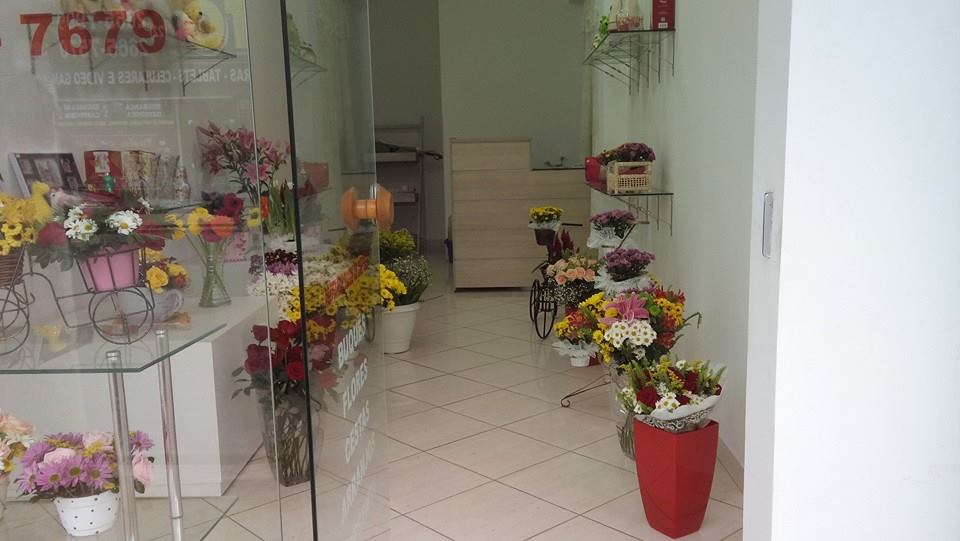 Floricultura Casa das Flores - Foto 1